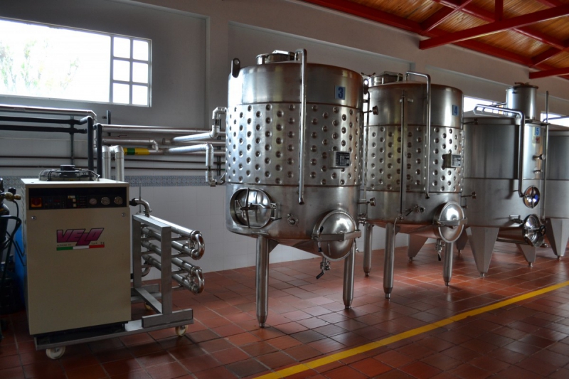 cave-SOLLIES VILLE-min_wine_production_cantine_winery_drink_alcohol_vine_beverage-902036